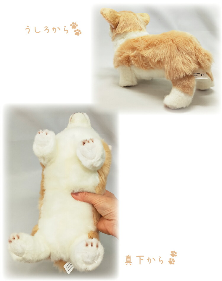 楽天市場】【コーギー 立ち ぬいぐるみ】 犬 おもちゃ 茶 白 雑貨