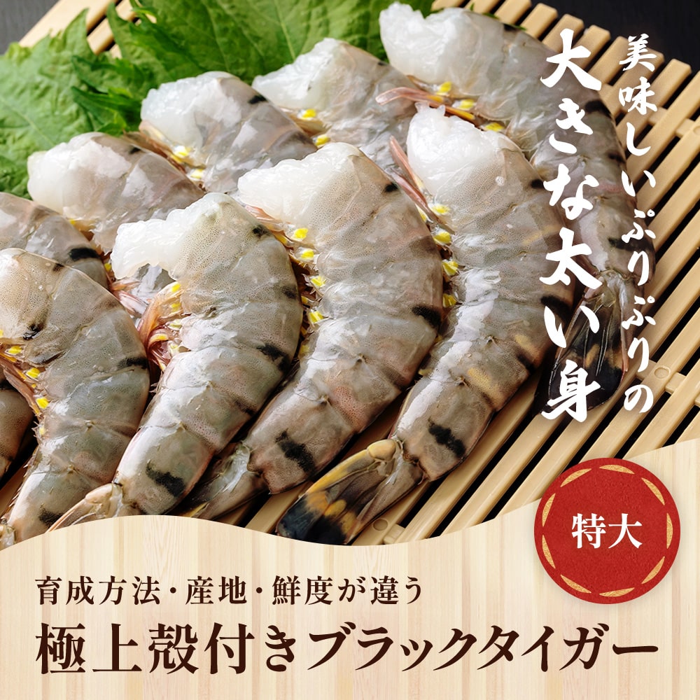 楽天市場】冷凍エビ 特大エビ 900g 約27尾 ブラックタイガー ギフト