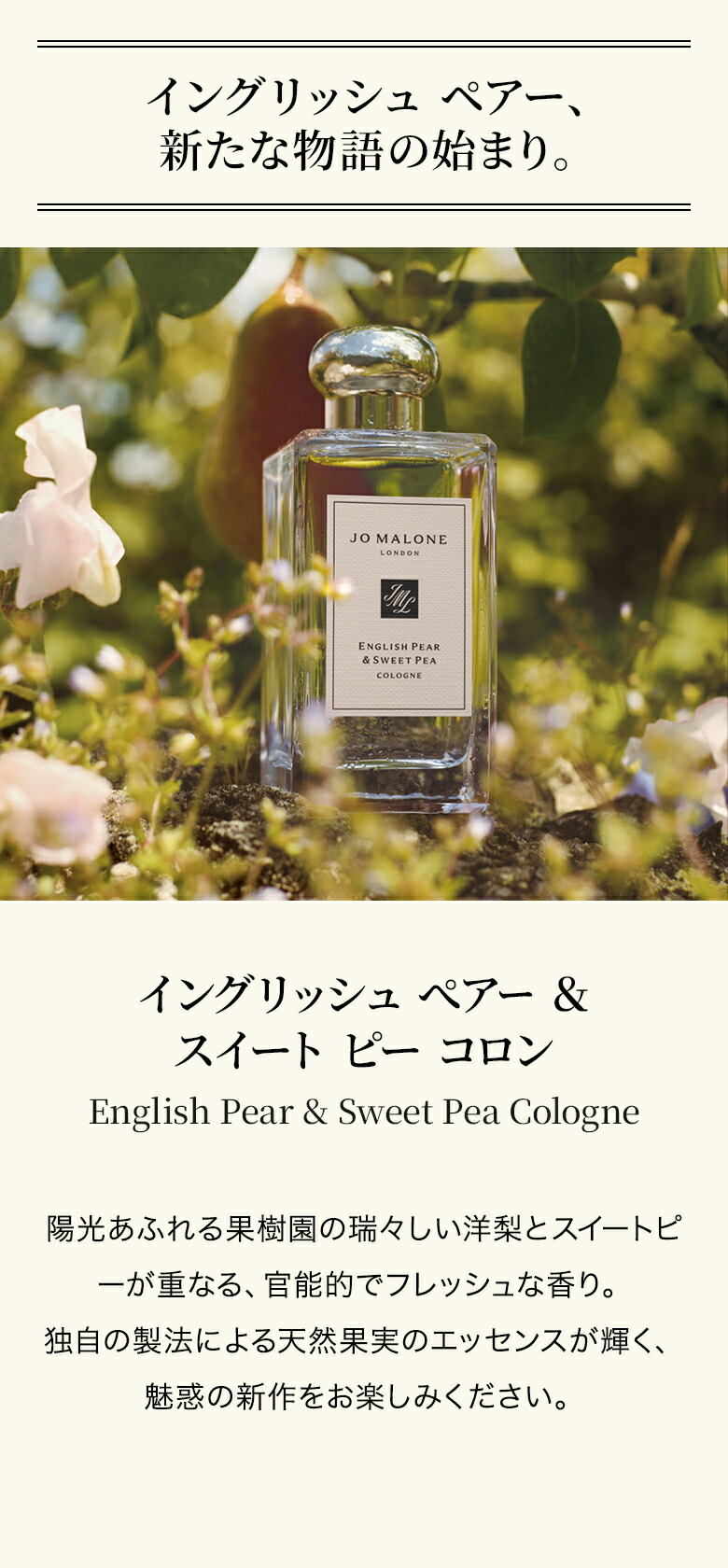 楽天市場】【ポイント20倍 4日20:00〜11日1:59】公式｜ジョー マローン