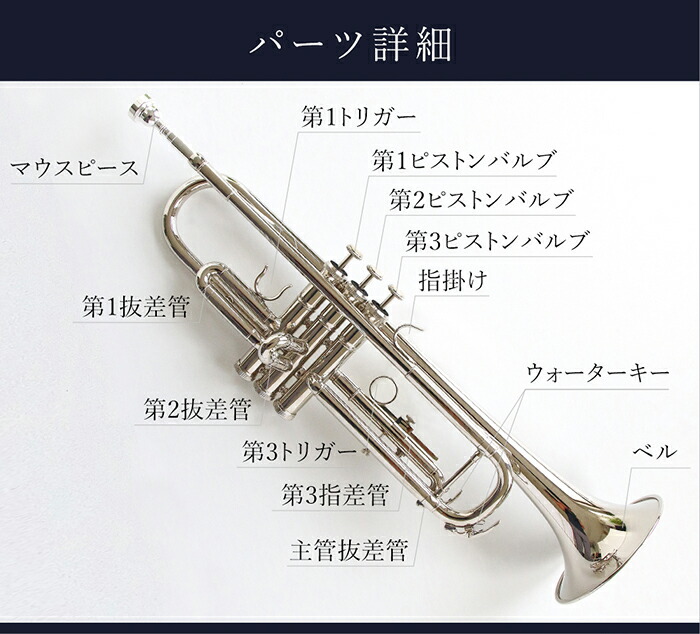 trumpet_3.jpg