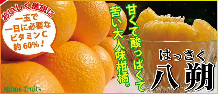 愛媛県産 甘平 精品10kg（M～4L混み） - きなはいやインターネット店