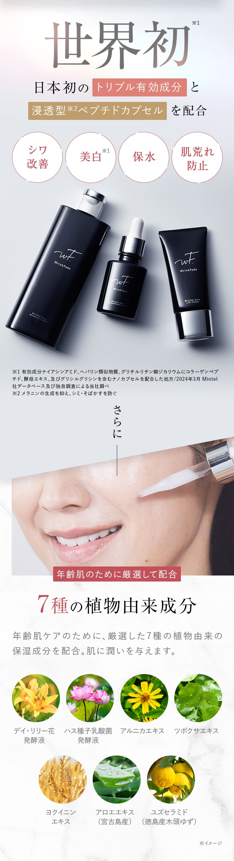 楽天市場】3/4 15時〜≪おトクなクーポン対象≫ 《公式店