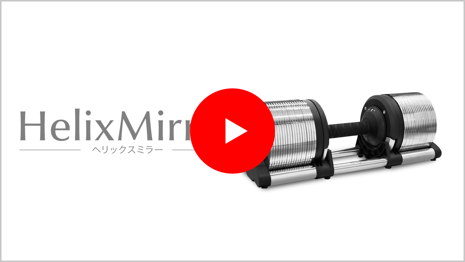 楽天市場】【スーパーSALE特価】【レビュー投稿で2年保証】 ライシン