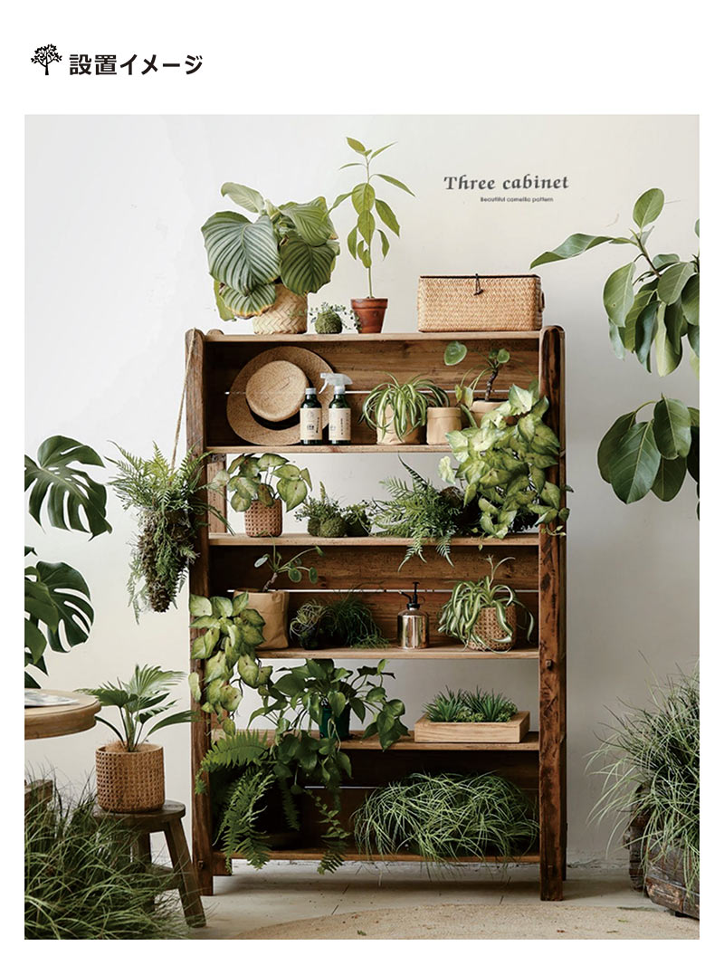 楽天市場】オープンラック 木製 奥行40 リビング収納 ディスプレイ