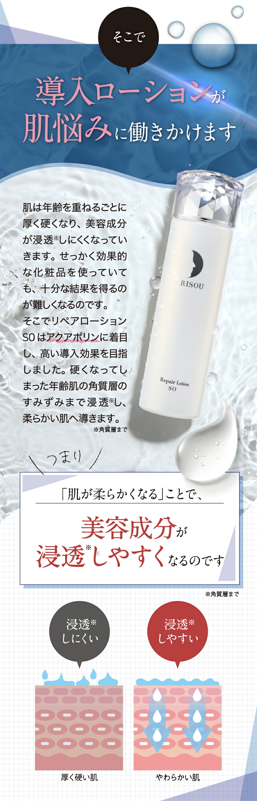 楽天市場】【20%OFF スーパーSALE限定】【リソウ公式】リペア