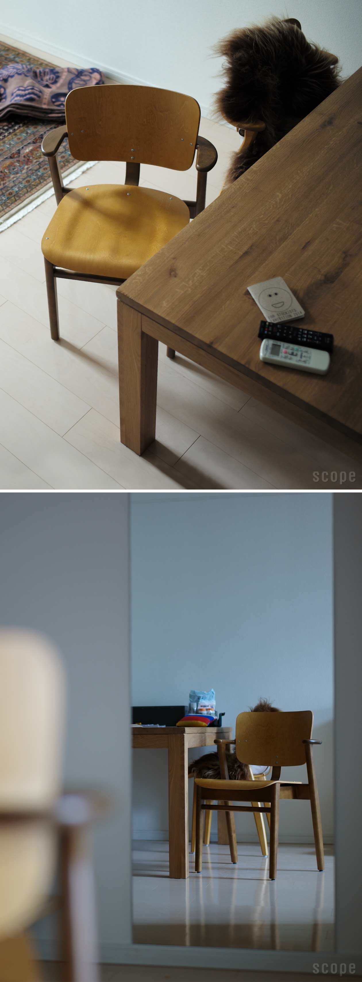 楽天市場】 アイテム一覧 > Artek > ドムス チェア : scope version.R