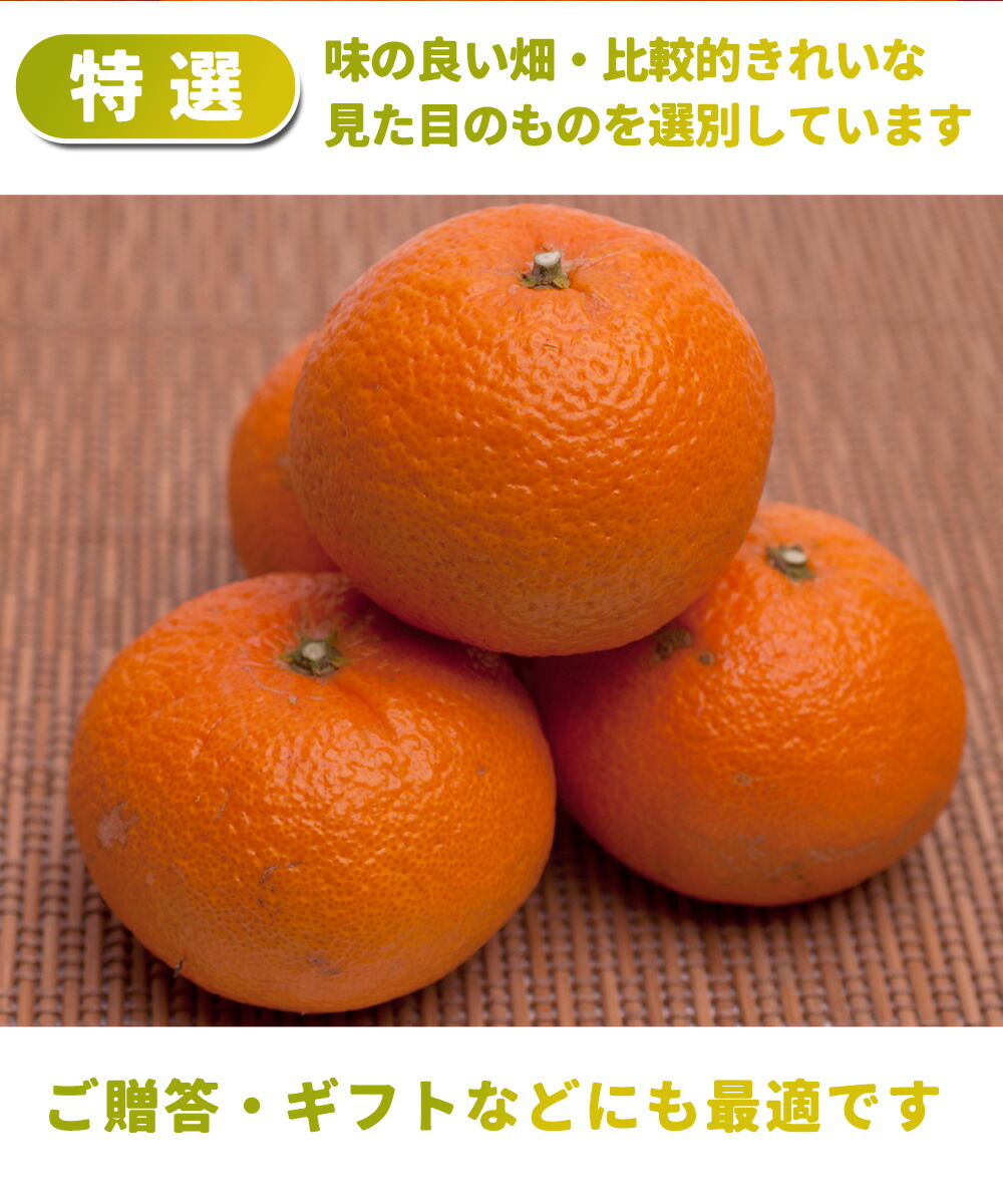 楽天市場】特選 津之輝 送料無料 1kg ～ 10kg サイズ混合 津の輝き