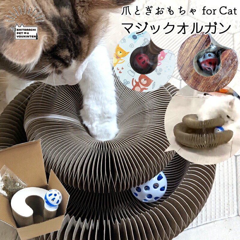 楽天市場】【スーパーSALE☆40%引】猫用 おもちゃ マジック オルガン