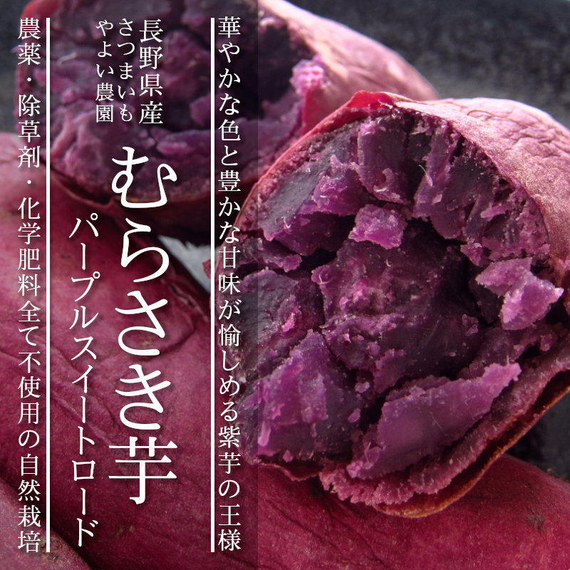 楽天市場】産地直送 自然栽培 さつまいも パープルスイートロード 紫芋