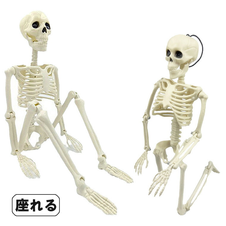 楽天市場】骸骨 ガイコツ スカル ドクロ 40cm ハロウィン 飾り 髑髏