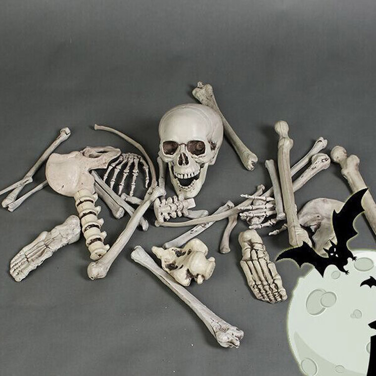 楽天市場】骸骨 28個セット スカル ドクロ ガイコツ ハロウィン 飾り