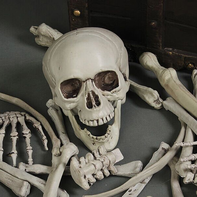 楽天市場】骸骨 28個セット スカル ドクロ ガイコツ ハロウィン 飾り