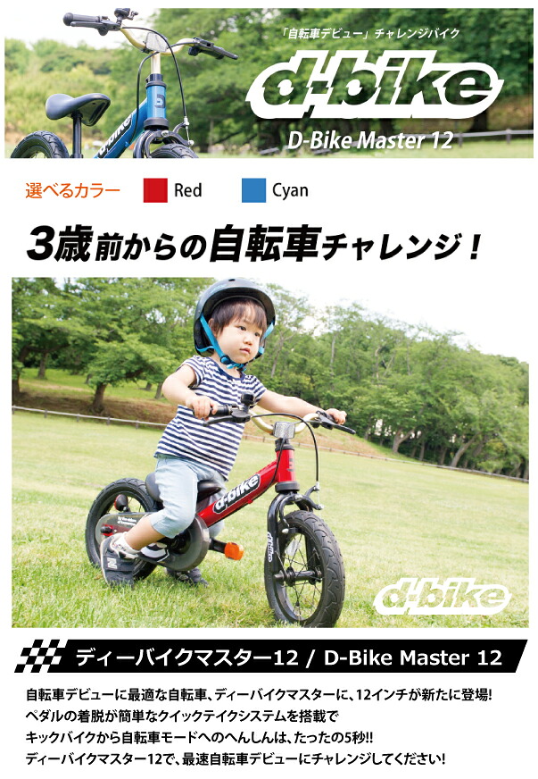 楽天市場】アイデス D-Bike Master 12 （ディーバイクマスター 12