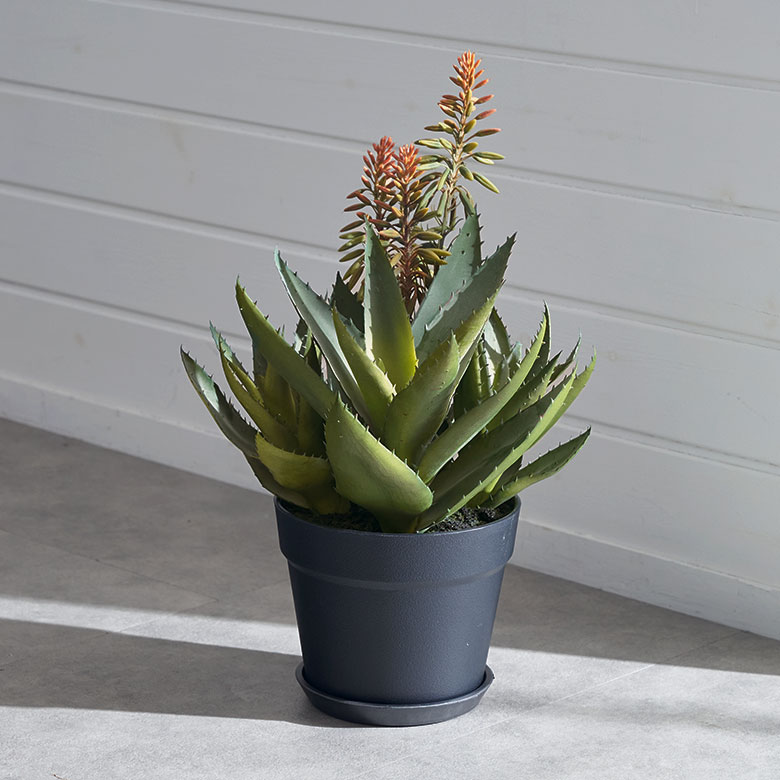 楽天市場】フェイクグリーン アロエ 高さ 42cm 観葉植物 グリーン