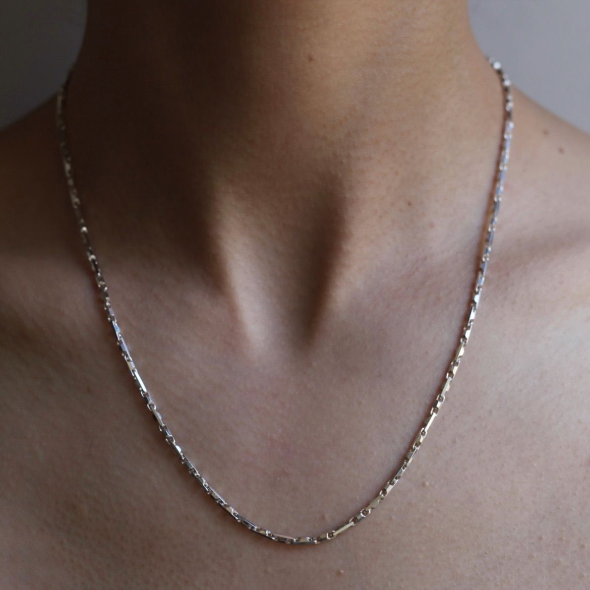 Garden of Eden - 【残り一点】Hesche Chain Necklace(SILVER