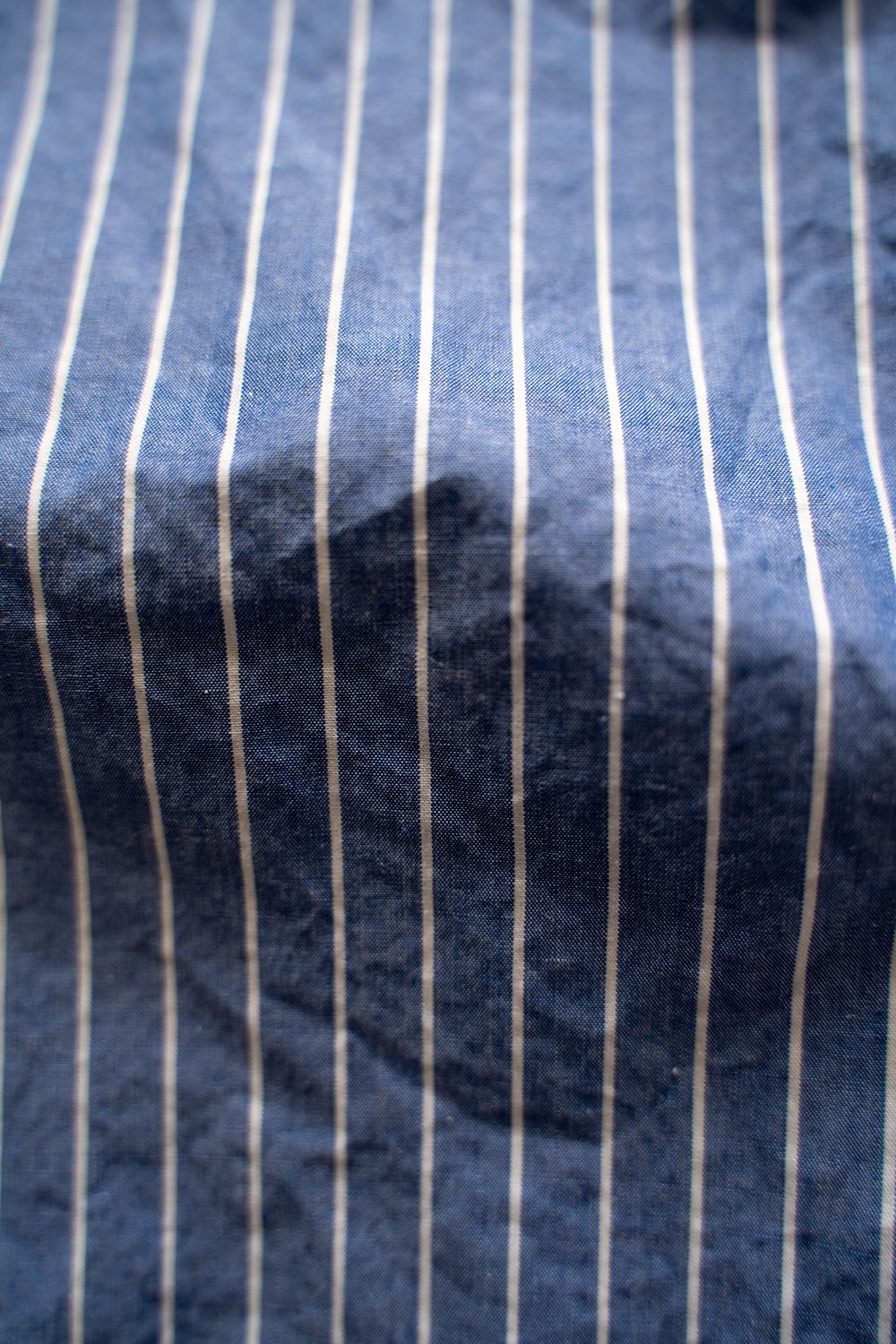 CIOTA - 【ラスト1点】スビンコットンタイプライターバンドカラー