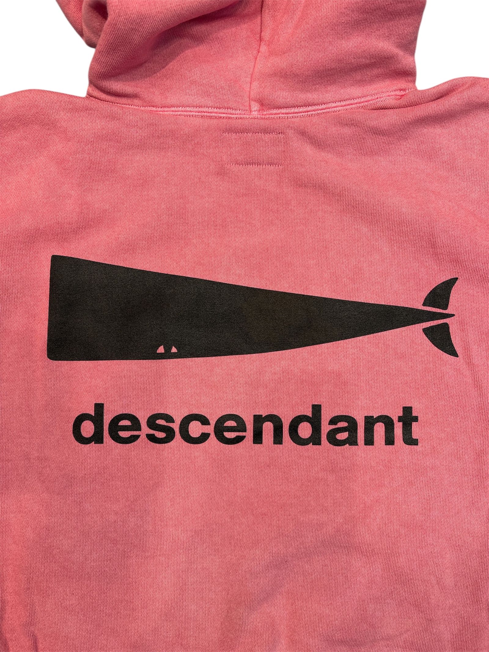 zqmdGxkqJRzE.jpg?width=768