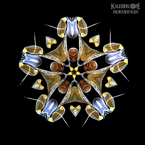 万華鏡：オイルチェンバー】透明な花シリーズ/琥珀：細井厚子[送料無料]