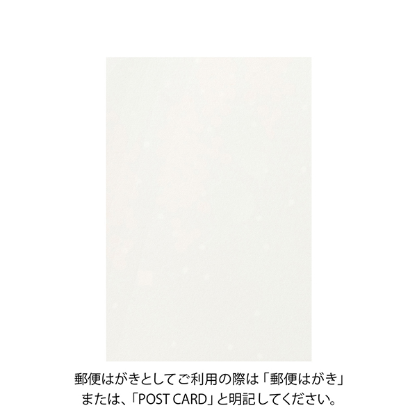 ハガキ/ポストカード｜紙シリーズ｜ポストカード 雪に赤い実柄