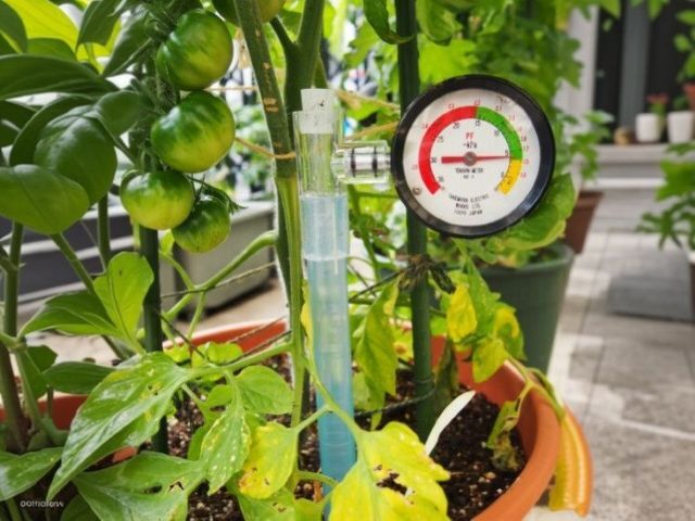 一般用土壌水分計（テンションメーター） DM-8 計量器専門店はかりの三和屋