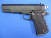 パラオーディナンス