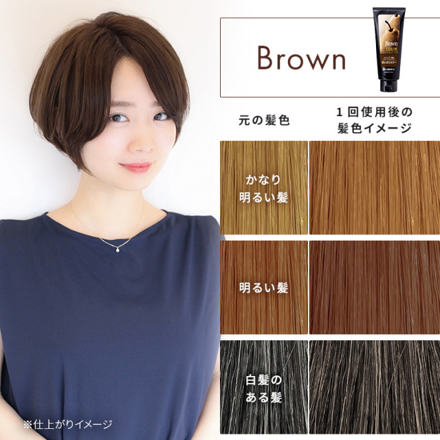 エブリ カラートリートメント ラージサイズ 260g 単品