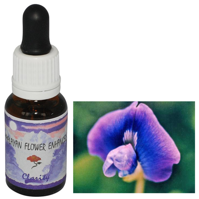 ストリングス ヒマラヤンエンハンサーズ チャクラキット