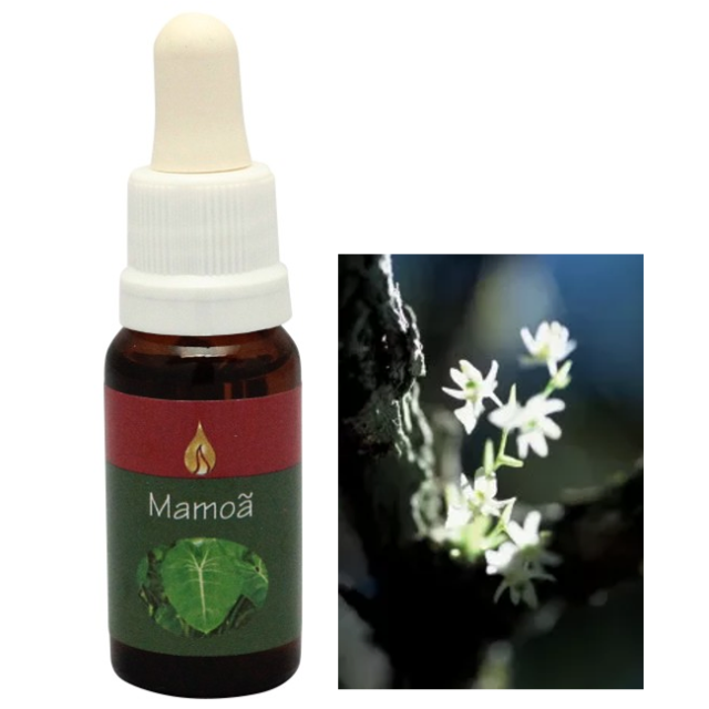 マモア アラレタマ・レインフォレストエッセンス フラワーエッセンスの