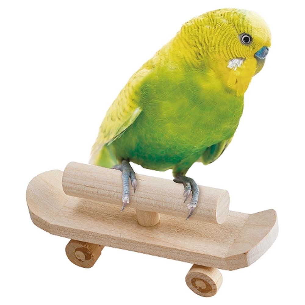 9999269【マルカン】バードボード 鳥専門店 BIRD MORE