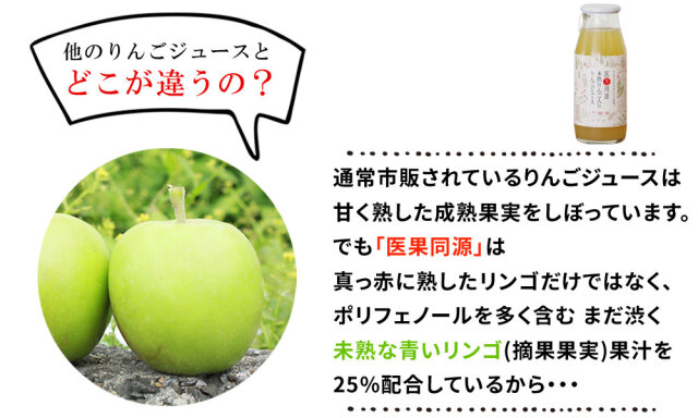 未熟 りんご ストレート 果汁入 林檎ジュース【医果同源ギフト12本