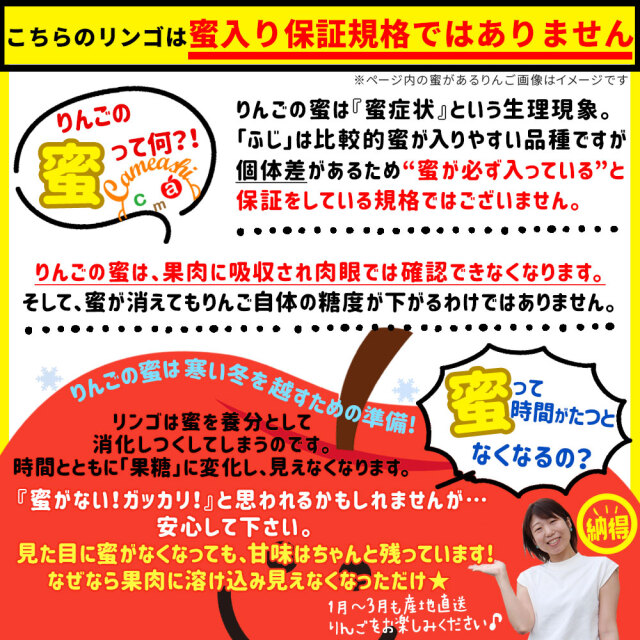 りんご の常識を変える☆葉とらず栽培 本場青森ゴールド農園 送料無料