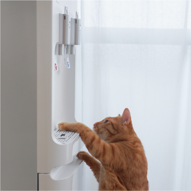 にゃんモデル きせかえセット（目皿：白） | コスモウォーター会員さま