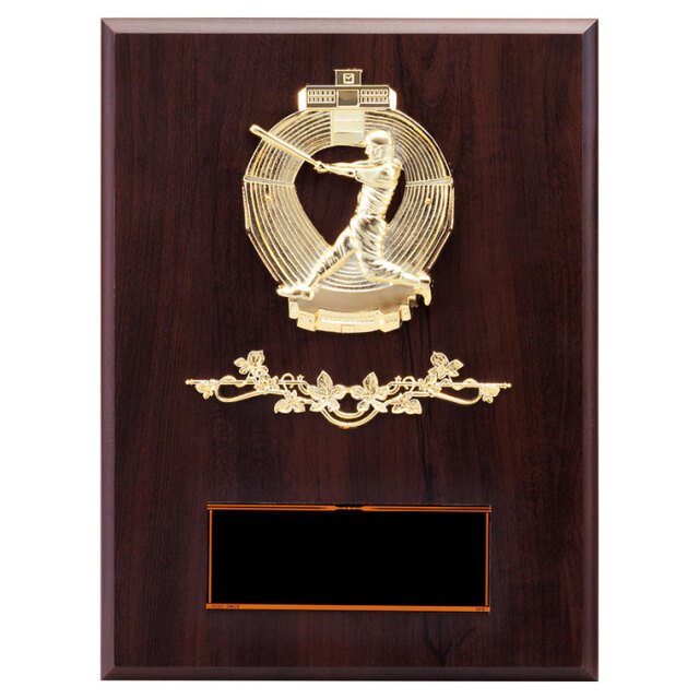 表彰記念盾 野球専用表彰記念楯（コスパに優れた樹脂製レリーフ付） K