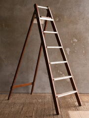 ステップラダー