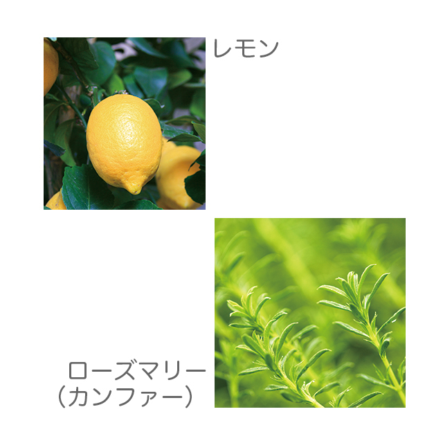 ハイパープランツ（HYPER PLANTS）ブレンドエッセンシャルオイル お昼