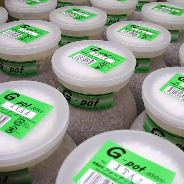 クワガタ幼虫用菌糸ビン G-pot850cc