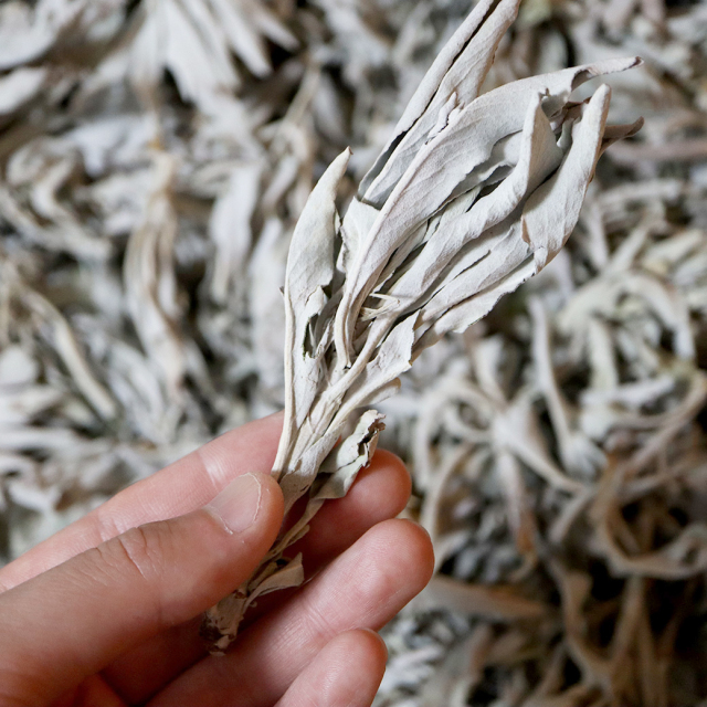 ホワイトセージ 1kg 大容量 無選別 枝付き クラッシュ 無農薬 高品質