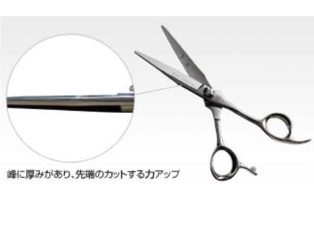 ヒカリ RYU COSMOS 171 172 175 (龍 リュウコスモス・5.8/6.3/6.8