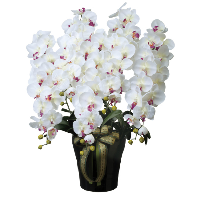 光触媒 造花 胡蝶蘭（コチョウラン）お祝いにも人気【光の楽園】