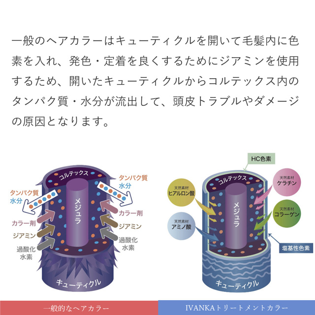 イヴァンカ ヘアカラートリートメント200g（白髪染め）