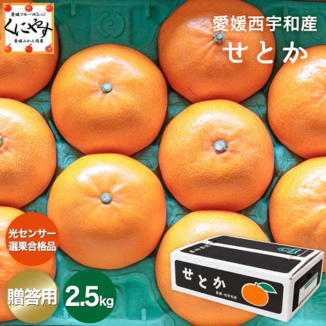 愛媛が誇る高級柑橘せとかはギフトにもおすすめ【贈答用2.5kg】