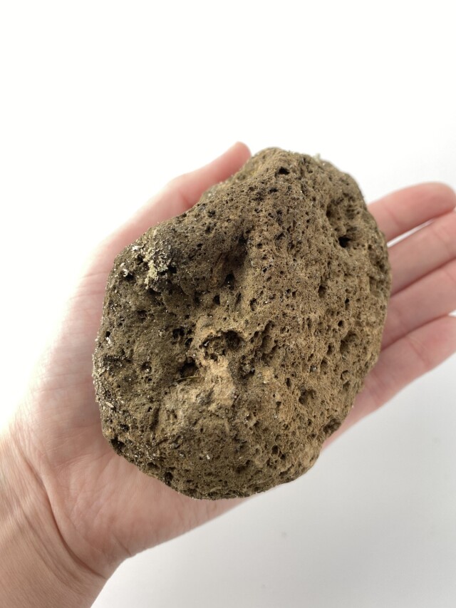 桜島軽石【約8～10cm/1個】