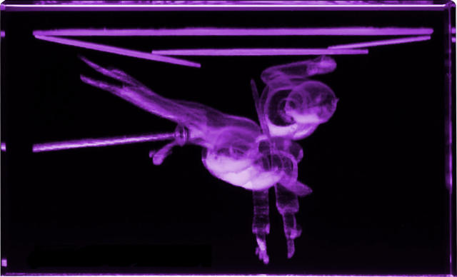 劇場版 ソードアート・オンライン -オーディナル・スケール- キリト