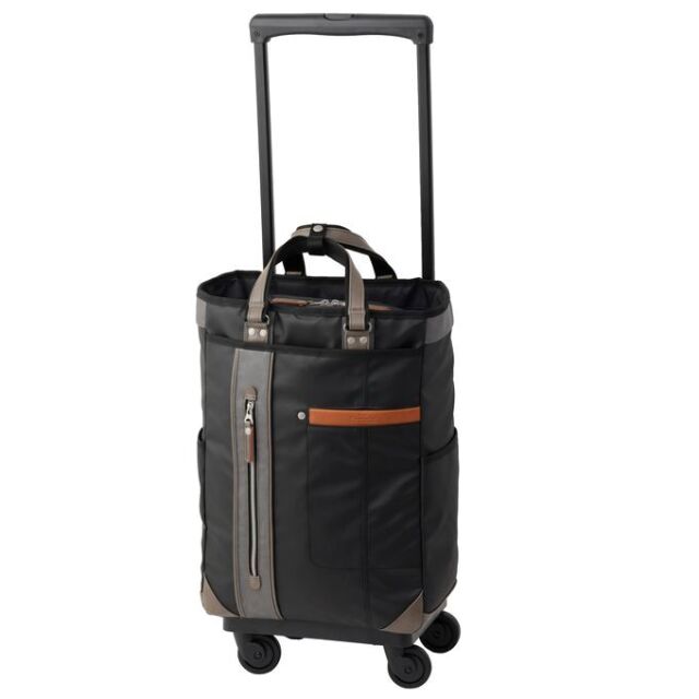 D-650 SWANY×MOUSTACHE(L21)ブラック＜T2キャスター・4輪ストッパー付