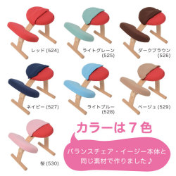 バランスチェア・イージーの激安店舗をリサーチ！ リボ社とサカモト