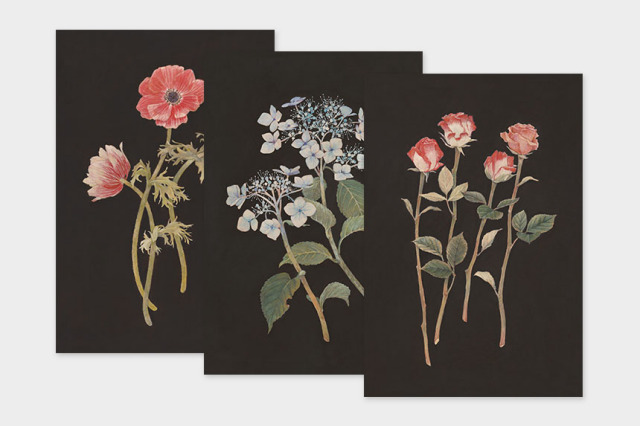 ポストカード〔アート タッチ〕 sasaki megumi 花柄｜タッチアンド