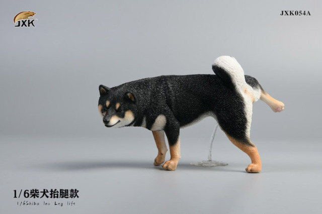 JxK.Studio】JXK054ABC shiba inu Leg Lift 1/6スケール 柴犬 イヌ