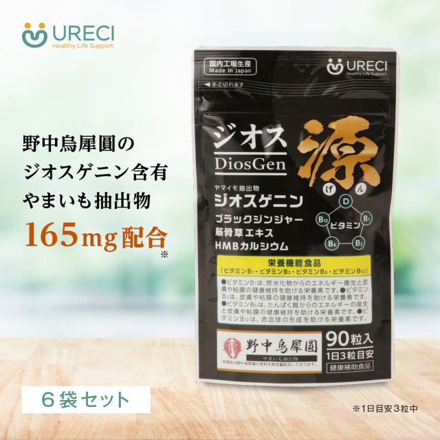 ジオス源90粒入り(6袋セット) ジオスゲニン サプリ サプリメント