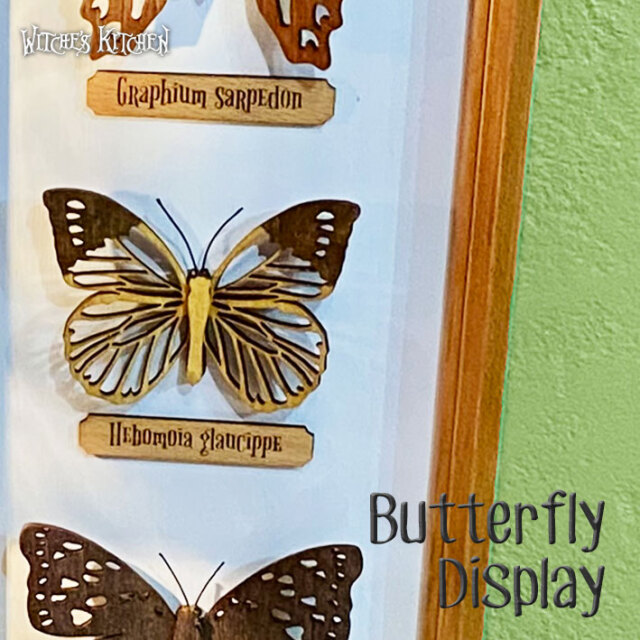 ウィッチーズキッチンのアートフレーム 【 蝶の標本箱 butterfly