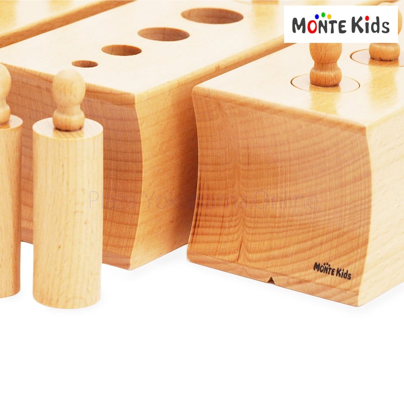 MONTE Kids】MK-026 シリンダー 円柱さし 大 | モンテッソーリ教具や